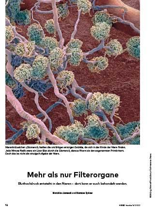 Titelbild des HERZ heute Artikels