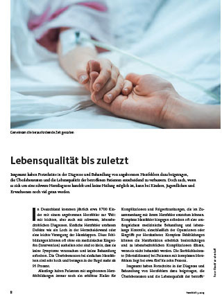 Titelbild des Artikels zum Thema Palliativkonzepte 