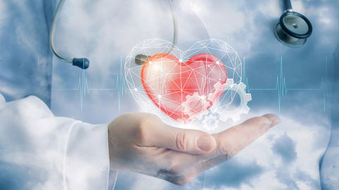 Herzexperten der Herzstiftung