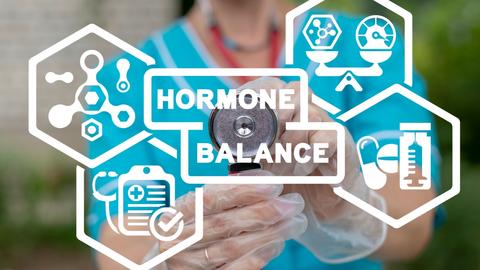 Grafik von den Hormonen der Frau