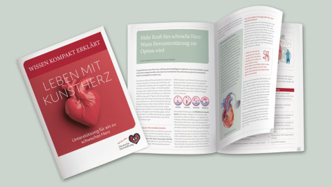 Collage der Kunstherz-Broschüre 