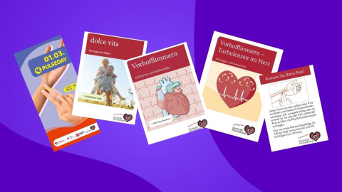 Inhalt des PULSEDAY-Pakets