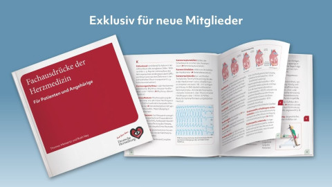 Bild vom  neuen Lexikon