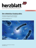 Titelbild der Endokarditis-Broschüre
